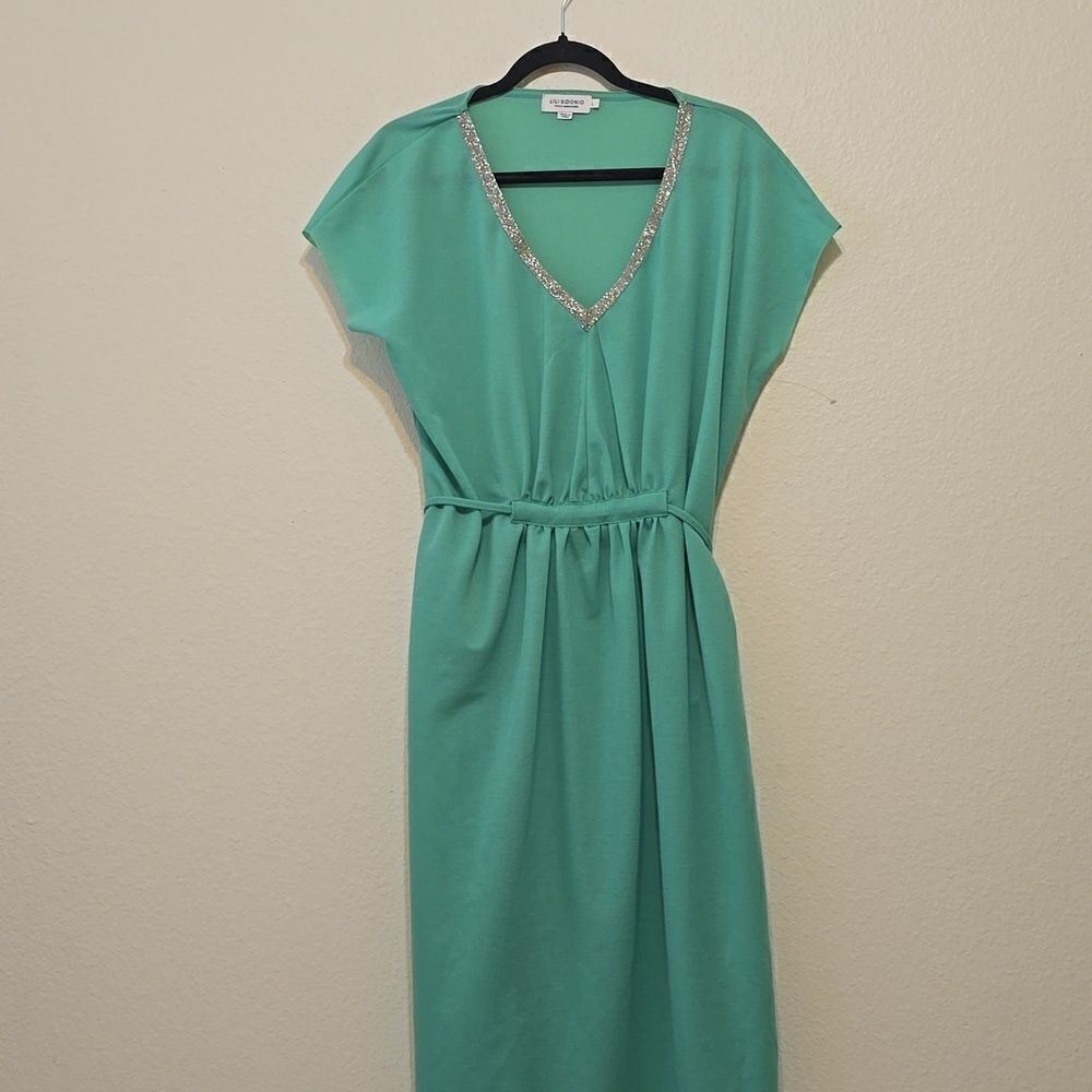 Lili Sidonio by Molly sequin vneck size large